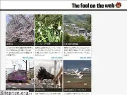 Sites similar to foolontheweb.net