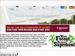 Sites similar to foragesuperbowl.org