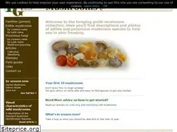 Sites similar to foragingguide.com
