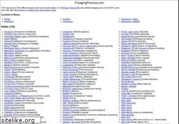 Sites similar to foragingpictures.com