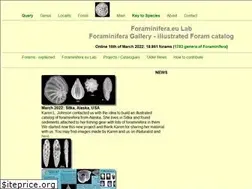 Sites similar to foraminifera.eu
