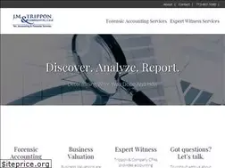 Sites similar to forensicaccountinghouston.com