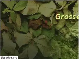 Sites similar to forest-corner.de