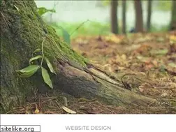 Sites similar to forestlaurel.com