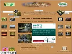 Sites similar to forestwander.com