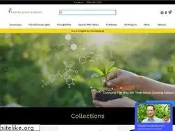Sites similar to forevergreenindoors.com