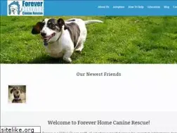 Sites similar to foreverhomek9rescue.org