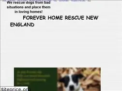 Sites similar to foreverhomerescue.org