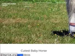 Sites similar to foreverhorsecrazy.com