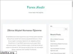 Sites similar to forexnedir.net