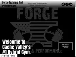 Sites similar to forgefitnesspros.com