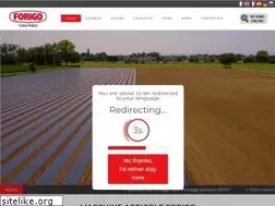 Sites similar to forigo.it
