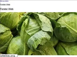 Sites similar to forster-web.com