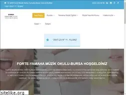 Sites similar to fortemuzikkursu.com
