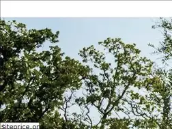 Sites similar to fortequipment.ca