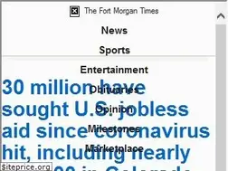 Sites similar to fortmorgantimes.com