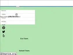 Sites similar to fortmyersbeachdolphintours.com