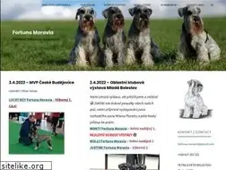 Sites similar to fortunamoravia.eu