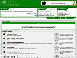 Sites similar to forum.tolkien.ru