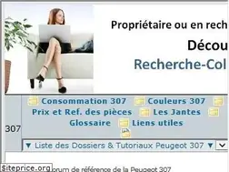 Sites similar to forum307.com