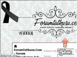 Sites similar to forumtutkusu.com