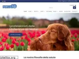 Sites similar to forza10.com