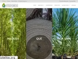 Sites similar to fosforos.cl