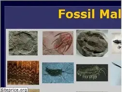 Sites similar to fossilmall.com