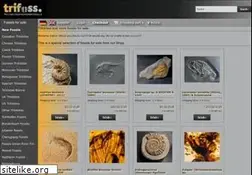 Sites similar to fossilsforsale.de