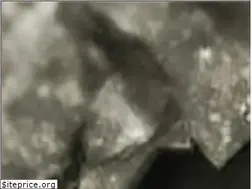 Sites similar to fossilsgalore.com