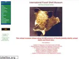 Sites similar to fossilshells.nl