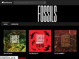 Sites similar to fossilsmusic.bandcamp.com