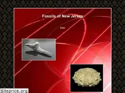 Sites similar to fossilsofnj.com