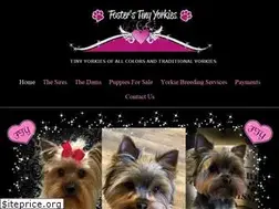 Sites similar to fosterstinyyorkies.com