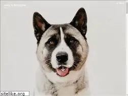 Sites similar to foto-29.com