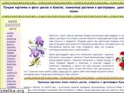 Sites similar to foto-cvetov.com