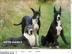 Sites similar to fotodanes.com