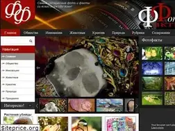 Sites similar to fotofakty.com