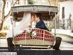Sites similar to fotografdugun.com