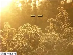 Sites similar to fotoimpresje.pl