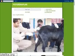 Sites similar to fotokeci.blogspot.com