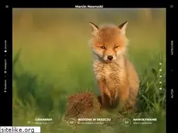 Sites similar to fotolens.pl