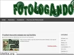 Sites similar to fotologando.blogspot.com