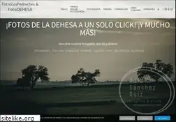 Sites similar to fotoslospedroches.com