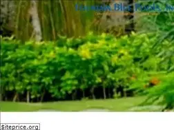 Sites similar to fountainbluepools.com
