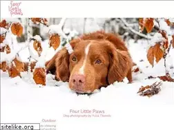 Sites similar to fourlittlepaws.com