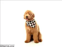 Sites similar to fourpawsdoodranch.com