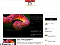 Sites similar to fourpawsquare.com