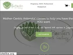 Sites similar to fourtrimesters.com