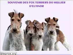 Sites similar to fox-terriers.fr